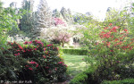 Volkspark